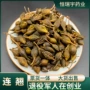 山西一体道地量大连翘