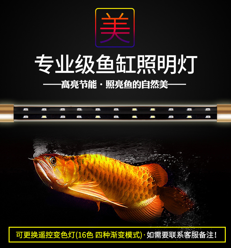 64d5a007-b6a3-40b3-bb9a-112ccffa3edc.jpe