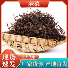 清水蕨菜真空龙爪菜段5斤10斤凉拌菜山野菜蕨苔下饭炒菜商用蕨菜