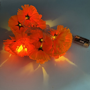 �羳led�f�}���f�۾՟��������՟������Շ��ջ��b�ī�������