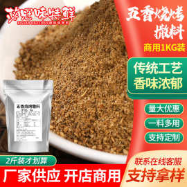 五香烧烤撒料1kg商用烤肉炸鸡烧烤专用蘸料五香味卤肉腌料调味料