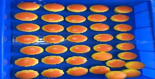 Juegos de descompresión pellizco pellizco rebote lento niña lindo juguete suave de ventilación simulación de alimentos pan pastel con fragancia