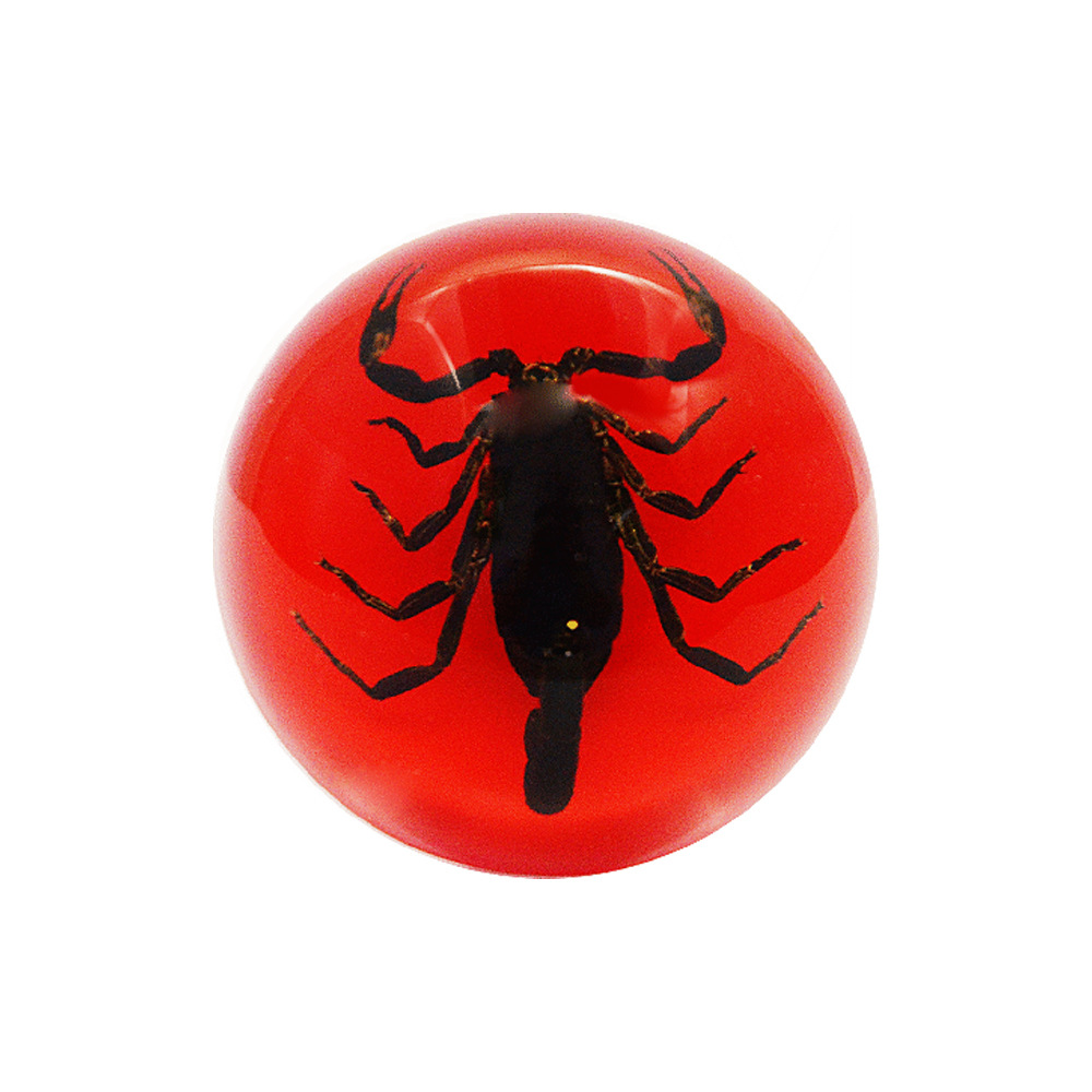 Black scorpion on red background [bubble bag simple packaging]