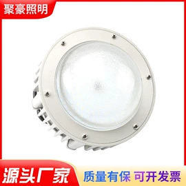 防爆灯;LED装饰灯;投光灯
