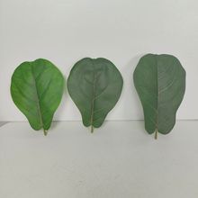 �������~���~��ֲ��͏d�k���ҾGֲ���W�����ļ�����ȩ�߷����辰