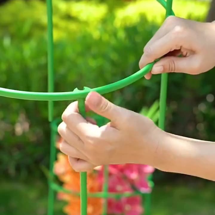 2024-04-01 16:23:25.jpg