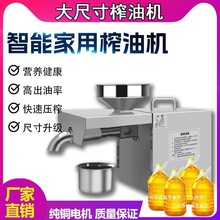 榨油机家用小型非自动多功能智能压油不锈钢电动花生菜籽炸油机器