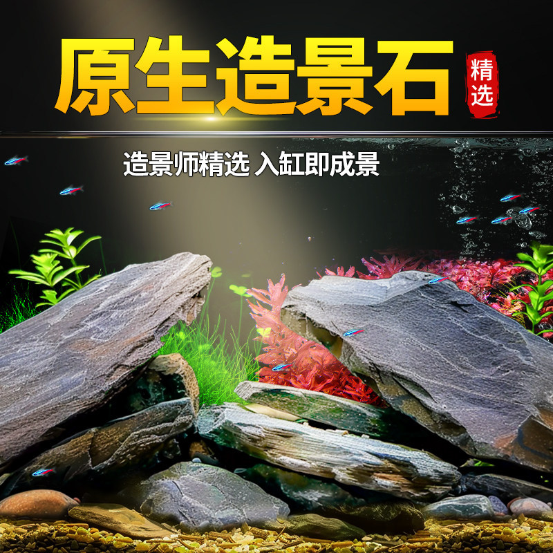 鱼缸造景溪流石头底部砂石龟缸造景摆件青龙石装饰松皮石乌龟晒台