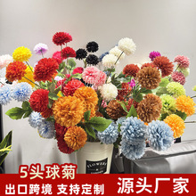 5�^��շ��滨�Ҿ��b���ղ�ƿ�ٻ���Y��Y����ƹ�Ҿջ�ˇ