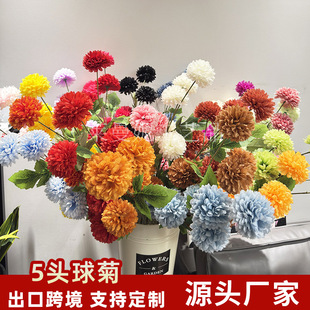 5�^��շ��滨�Ҿ��b���ղ�ƿ�ٻ���Y��Y����ƹ�Ҿջ�ˇ