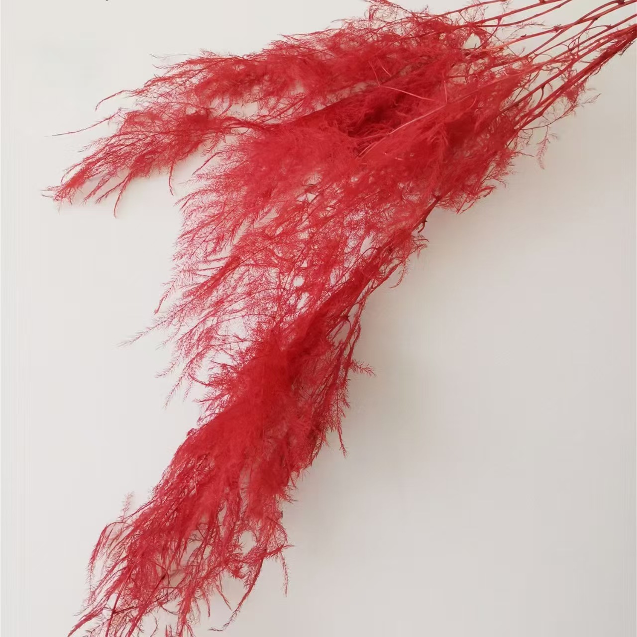 Flores de inmortalidad rojas decoración de boda flores secas de Año Nuevo para dar la bienvenida a los huéspedes frijoles de dragón grasa colgando arroz al por mayor