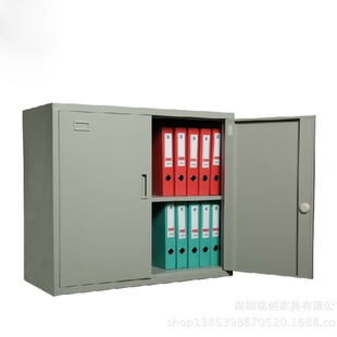 Shenzhen Factory Direct Sales Steel File Cabinet Office Cabinet Iron Cabinet Shenzhen Iron Cabinet Low Cabinet Floor Cabinet Table Floor