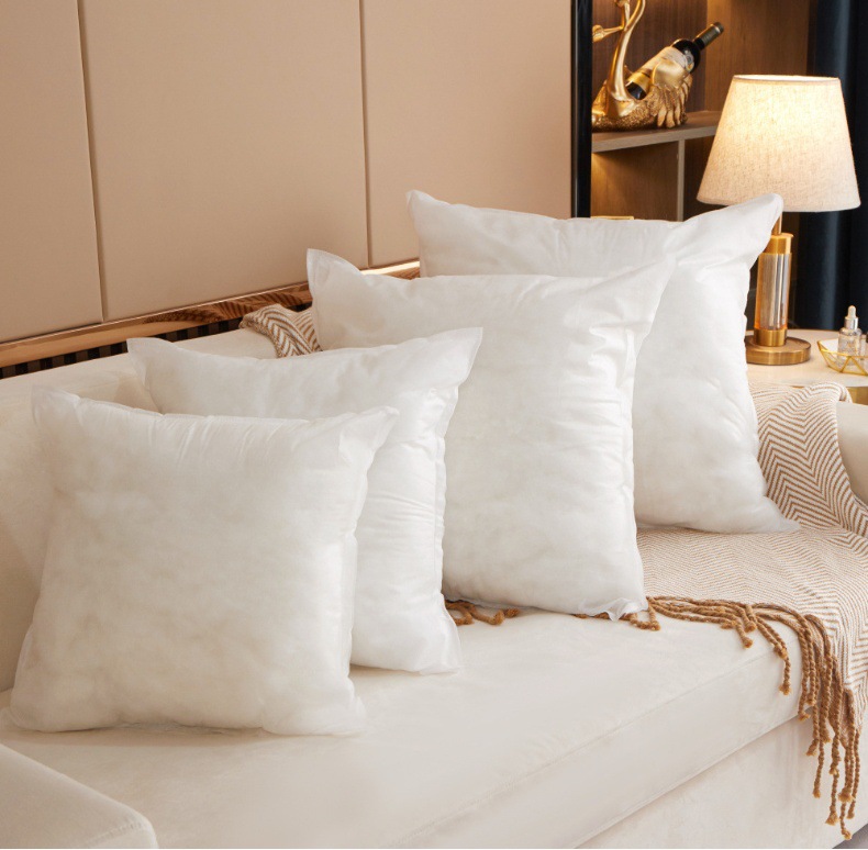 Pillow Insert Image 2