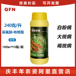 ��˹���J�չ���24%�����Ѿ����ȷ��Ѿ���׷۲���ߺְ߲�������