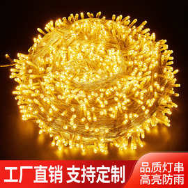 厂家直销批发led灯串 户外满天星彩灯圣诞灯婚庆串灯节日装饰闪灯