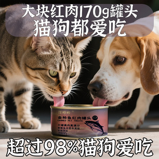 Canned Cat 175g Large Piece of Meat Tuna Meat Snacks Cat Hydration Kitten Staple Food Wet Food Nutrition Healthy Fattening