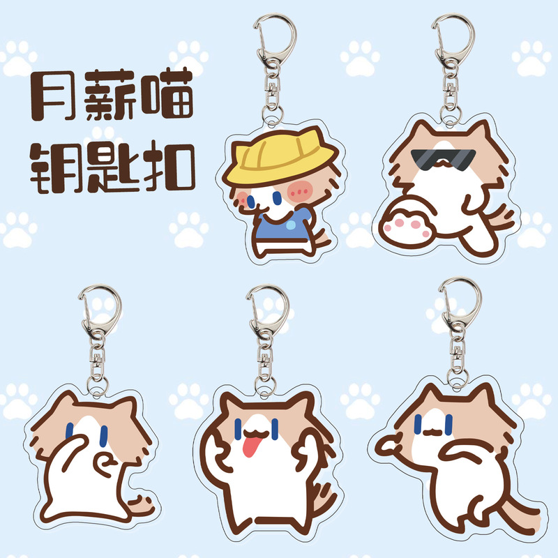 Monthly Salary Cat Keychain Cartoon Acrylic Pendant Personalized Niche Bag Charm Cute Student Accessory Monthly Salary Cat Keychain Cartoon Acrylic Pendant Personalized Niche Bag Charm Cute Student Accessory