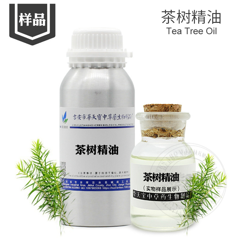Tea Tree Essential Oil Sample 5ml Melaleuca Leaf Oil Australian Tea Tree Essential Oil Tea Tree Oil Manufacturer