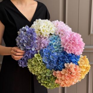 �羳���N96Ƭ���潑��  ��c�Ҿ��b�ˇ��Y���Q�Ĕz����