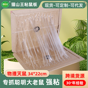 Foreign Trade Export Kitchen 40g Waterproof Sticky Mouse Board Household Strong Glue Mouse Board Manufacturer Wholesale