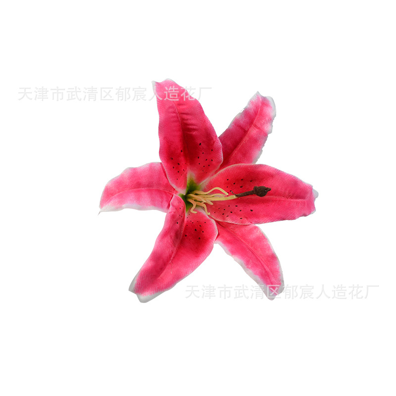 Simulation Tiger Orchid 3D Print Dali Conference Table Hotel Flower…