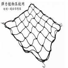 厂家直销 全弹力植物帐篷网植物压枝网分支网植物爬藤网分格网