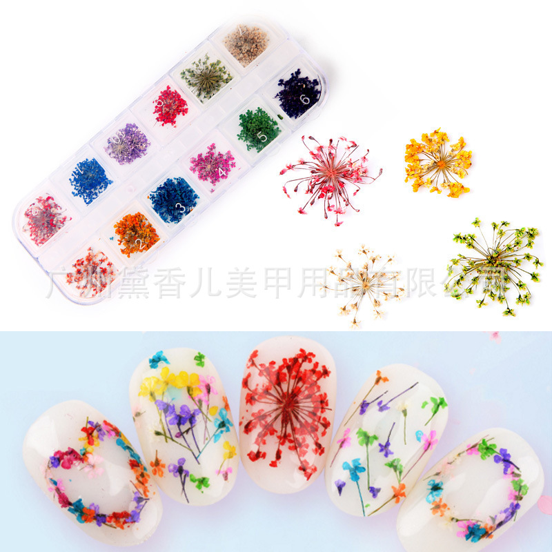12-color largo grande flor seca manicura encaje flor seca manicura tridimensional flor seca flor real 24 uñas flor seca joyería