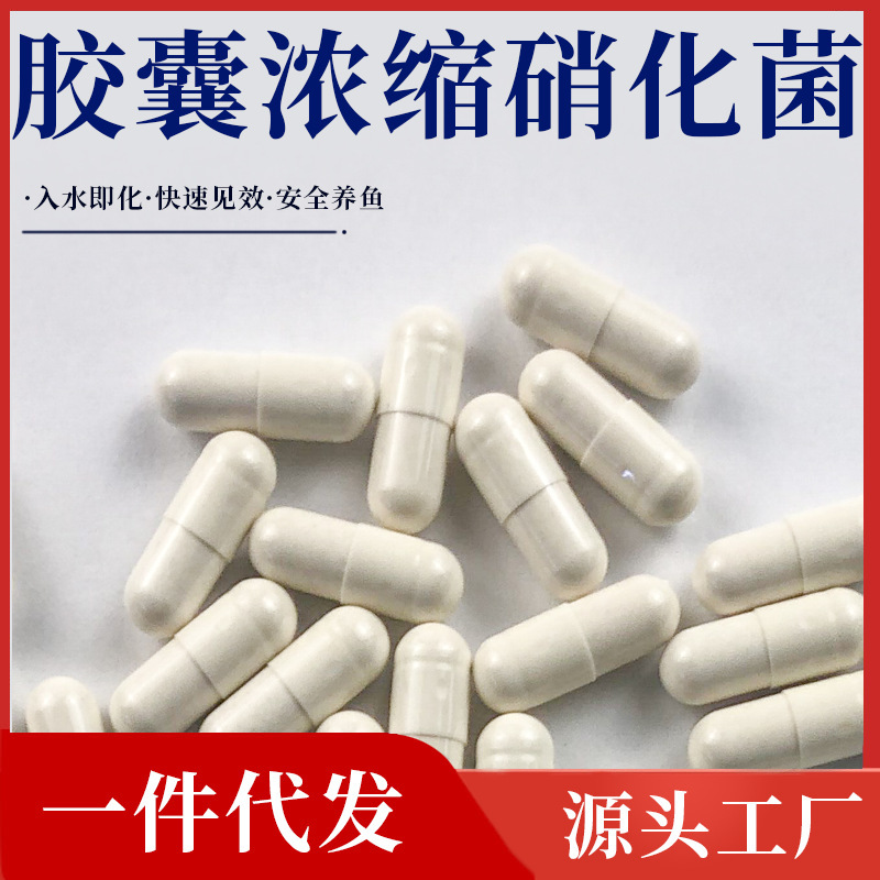 Duoyu Nitrifying Bacteria Capsule Fish Tank Water Quality Stabilizer Water Purification Concentrated Dry Powder Digestive Live Bacteria Special for Fish Farming