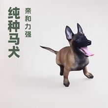 ���N�RȮ��Ȯ���w����Ȯ���N��Ȯ�����r�RȮѪ�y�o�lȮ���B���ﹷ