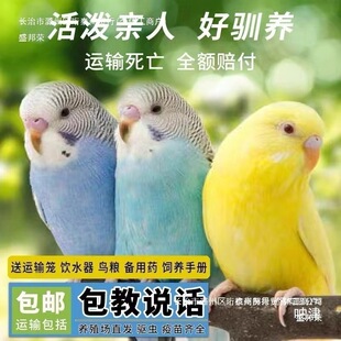 �S��ֱ�N�S��ֱ�N�W�^���B���ﻢƤ�W�^���fԒ���B�����B녰�С��