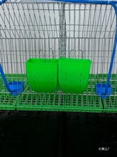 ����ʳ�����ʳ���ϺЫH��Ұ�����û\���Bֳ�ú��Ϻ��ϲ۲ݼ�