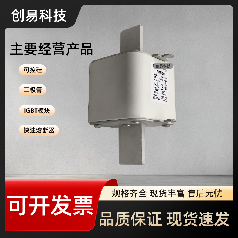 170M6301 170M6302 170M6303 170M6304 170M6305 170M6306/6307