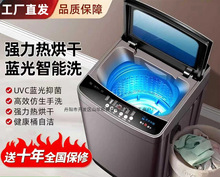 全自动家用小型洗衣机大容量波轮出租房公寓宿舍洗衣机脱烘一体机