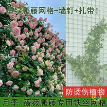 �¼��F�z���پW�W�����ټ�ֲ�������Nޱ�������F�W���C