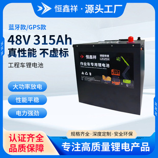 �߿����Iƽ̨܇����늳�48V315Ah����܇�Ď�܇��܇�����F�늳ؽM