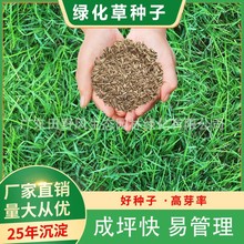 ƺNļ߅o;GѺ݌~ݹݷNl