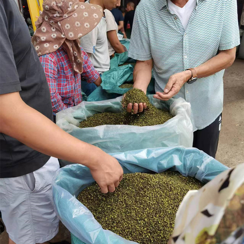 微信图片_20240610103841_副本