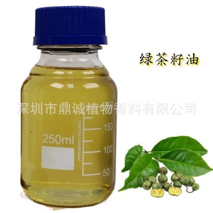 �����A�͡��G��������ե��ȡ�裨CAMELLIA SINENSIS������