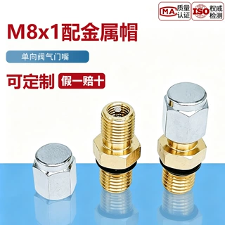 铜件M8配铜帽气门嘴轮胎气门芯膨胀水箱充气嘴气动压力罐
