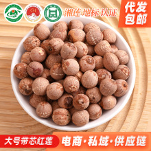 ���r�tɏ����ɏ���w����о�tɏ500g��оɏ�Ӹ�؛���rɏ�����l