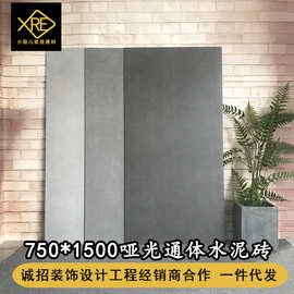 750*1500灰色水泥灰工业风素色哑光瓷砖通体 客餐厅简约室内地砖