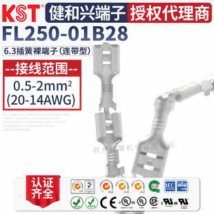 KST�����dFL250-01B28�B���� 6.3ĸ����B�@����K.S�B����UL�J�C