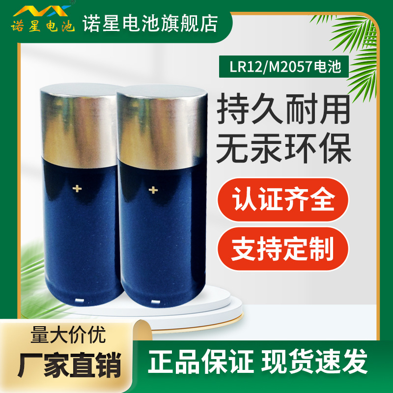 LR25大号碱性电池 船舶航海备用电源 大容量碱性电池保质3年