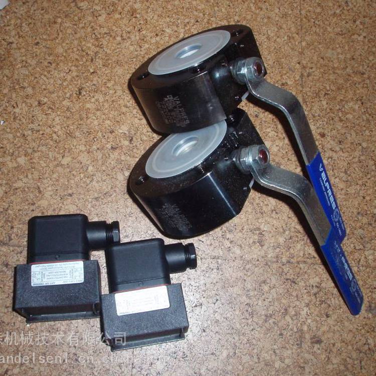 德国 Bühler Technologies MKS1W 外置式液位开关