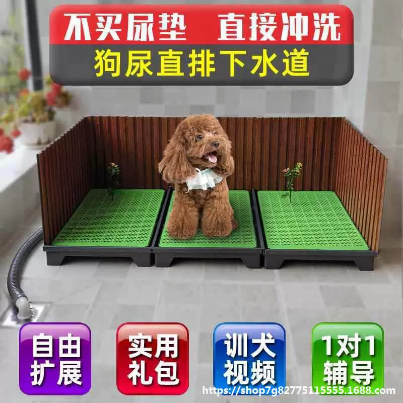 Автоматическая промывка для собак без водотока