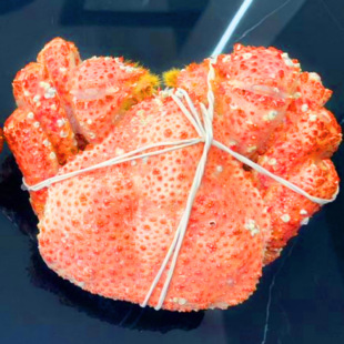 -���l����M�����������u�Lз ����з ��������11kg��Ƶ�ֱ��