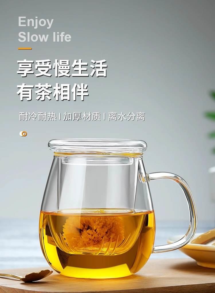 Heat-Resistant Glass Tea Tumbler 350ml with Infuser and Straw for Loose Leaf and Flower Tea overview