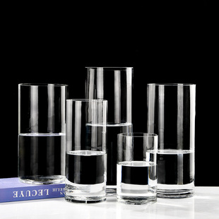 Straight modern simple transparent glass vase high-grade household hydroponic vase ins style high-looking decoration