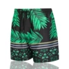 3000 black and green
