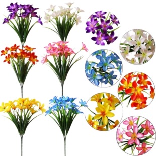 �羳����5��ˮ�ɻ���������ٺϻ��Ҿӑ����b��Ĕz�쾰�ٻ����l